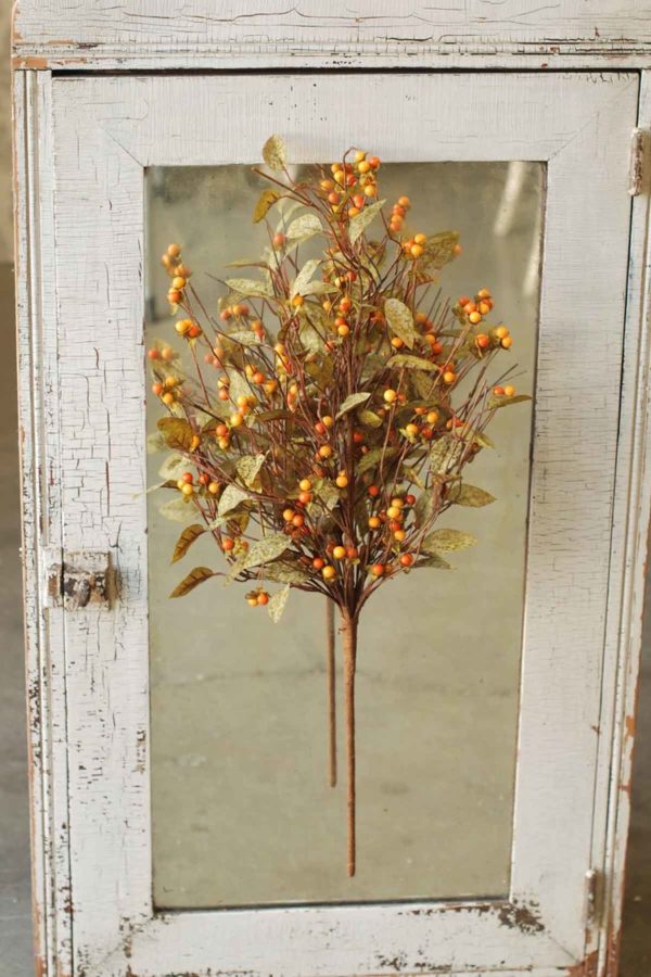 Bittersweet Bush